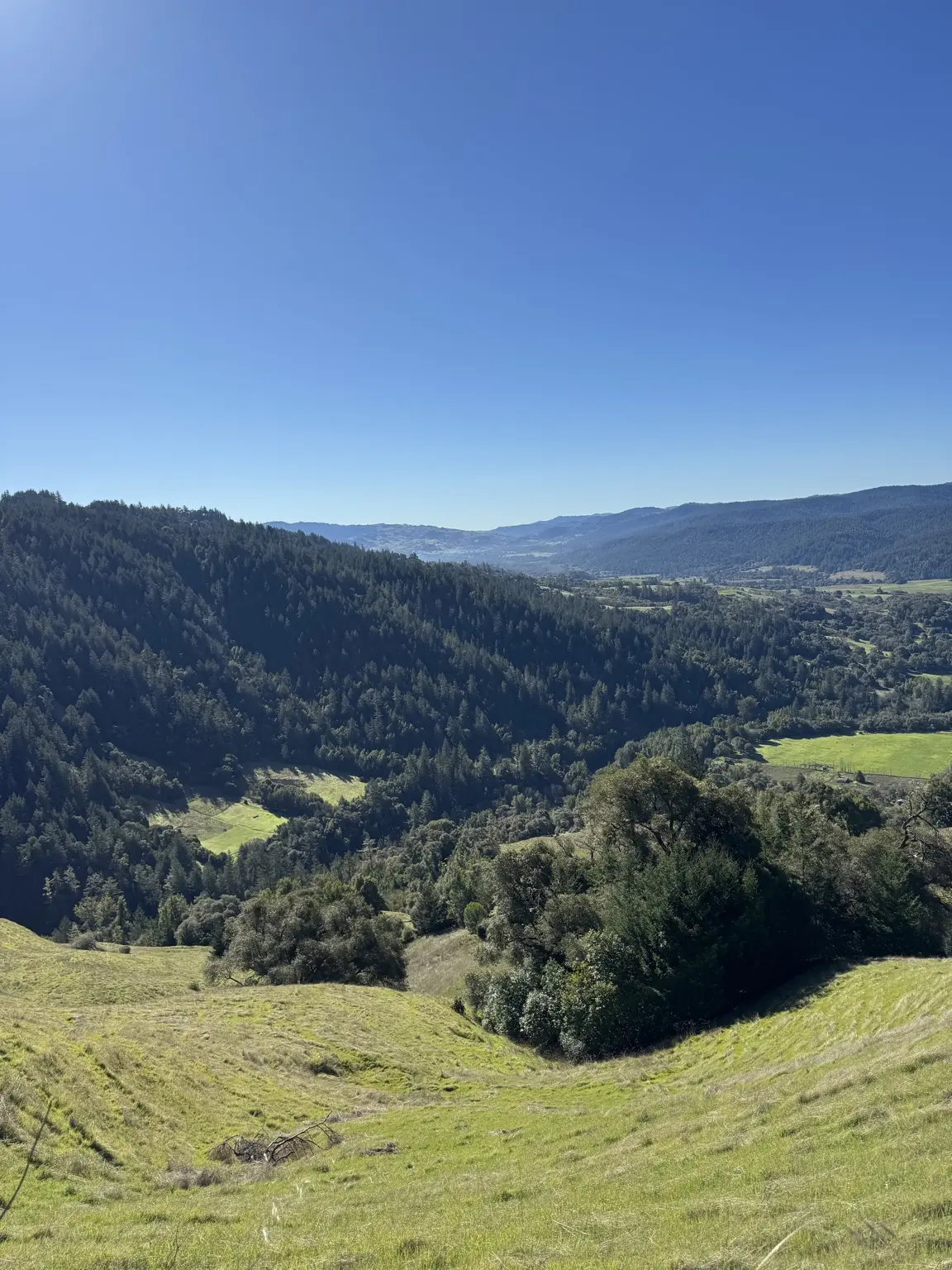 View across the hills and valleys of Anderson Valley