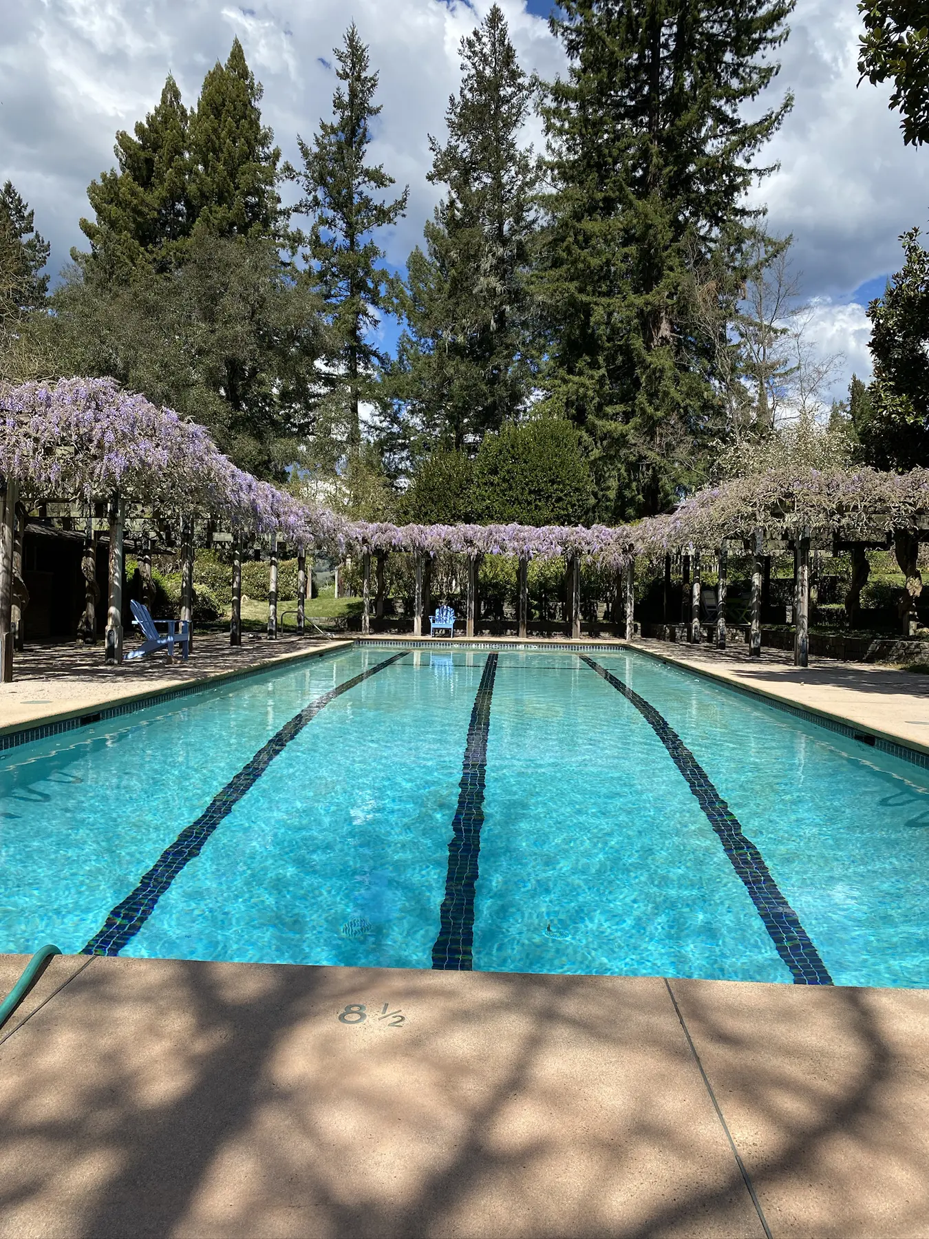 Wild Iris pool area after improvements during Peter's ownership
